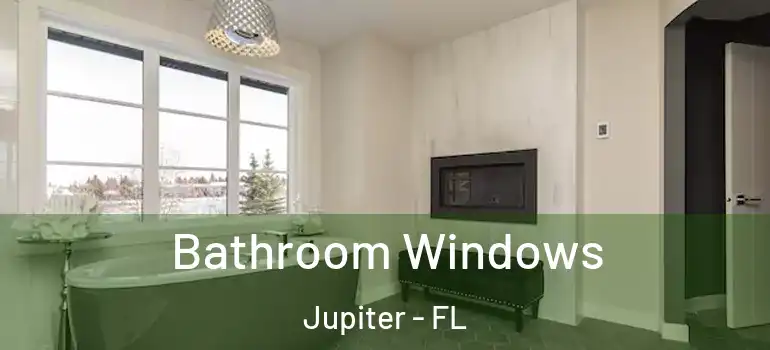  Bathroom Windows Jupiter - FL