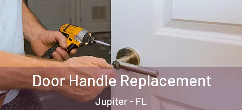  Door Handle Replacement Jupiter - FL