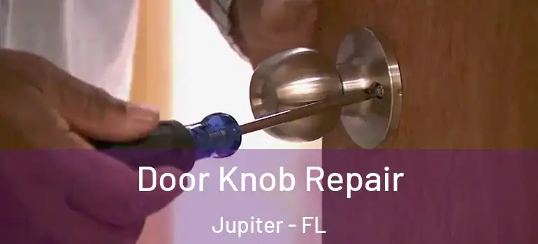  Door Knob Repair Jupiter - FL