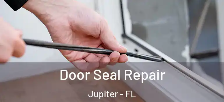  Door Seal Repair Jupiter - FL