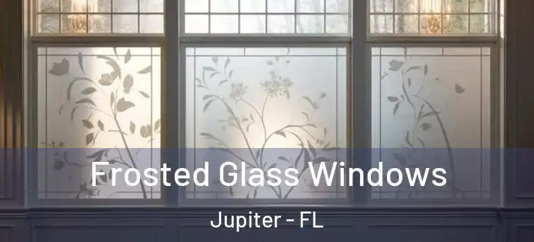  Frosted Glass Windows Jupiter - FL