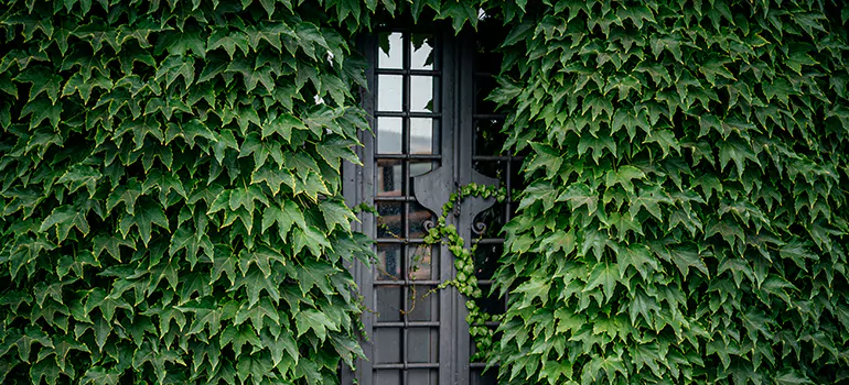 Garden Gate Repair in Jupiter, FL