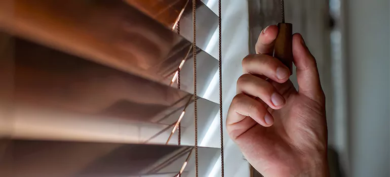 Double Roller Blinds in Jupiter, FL