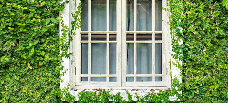 Garden Window Repair Near Me in Jupiter, FL
