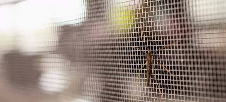 Repair Mosquito Mesh For Windows in Jupiter, FL