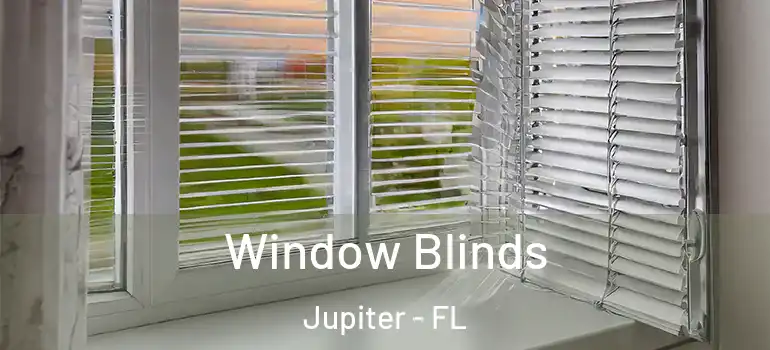  Window Blinds Jupiter - FL