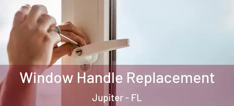  Window Handle Replacement Jupiter - FL