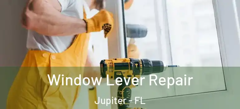  Window Lever Repair Jupiter - FL