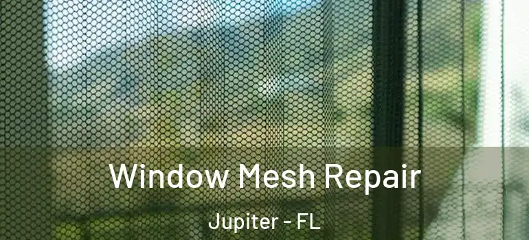  Window Mesh Repair Jupiter - FL