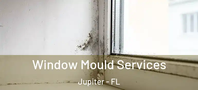  Window Mould Services Jupiter - FL