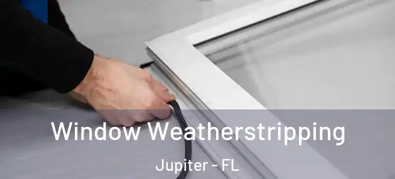  Window Weatherstripping Jupiter - FL